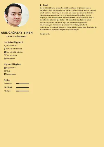 Ziraat Mühendisi Cv Örnekleri cv indir